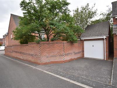 Picture 19